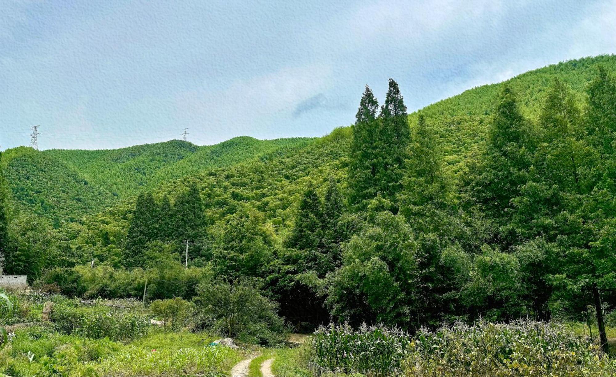 Moganshan Arcadia Resorts Deqing المظهر الخارجي الصورة